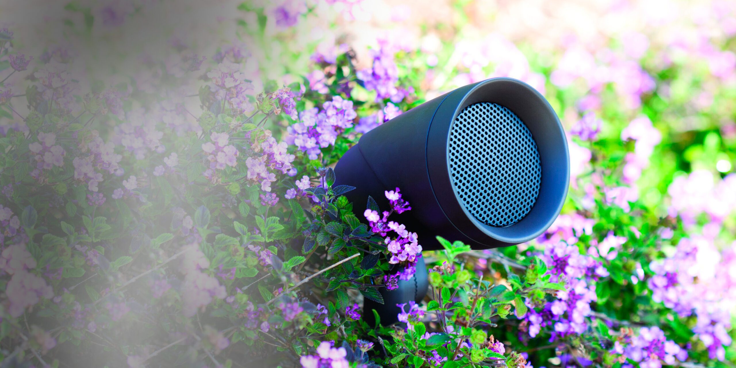 Garden Speakers